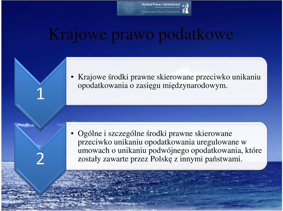 2 Ogólne i szczególne środki prawne skierowane przeciwko unikaniu