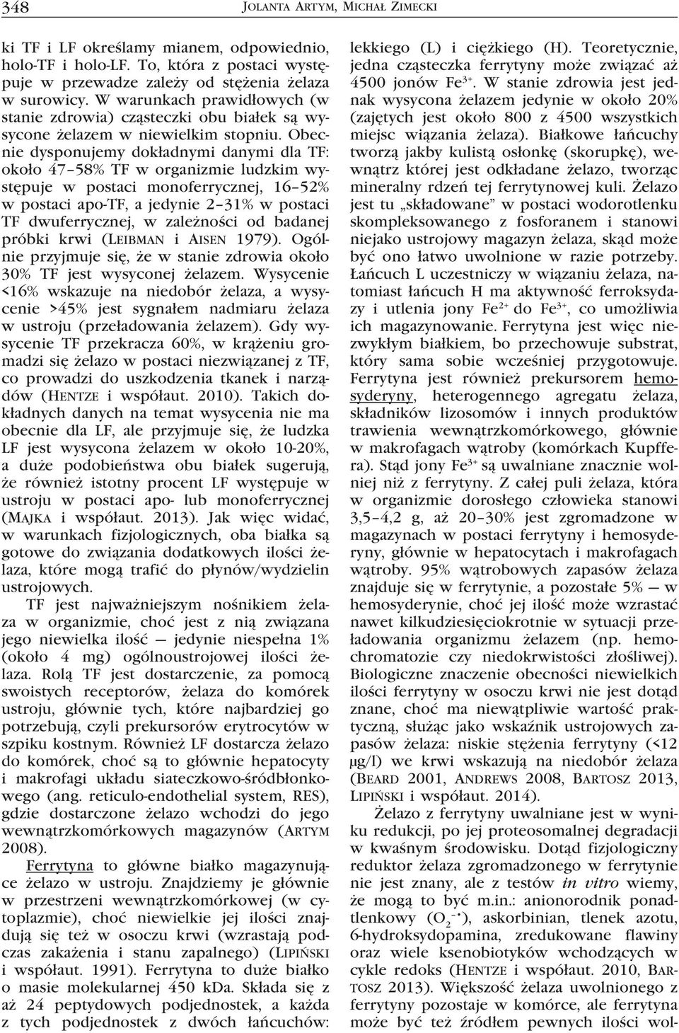 Białkowe łańcuchy tworzą jakby kulistą osłonkę (skorupkę), wewnątrz której jest odkładane żelazo, tworząc mineralny rdzeń tej ferrytynowej kuli.