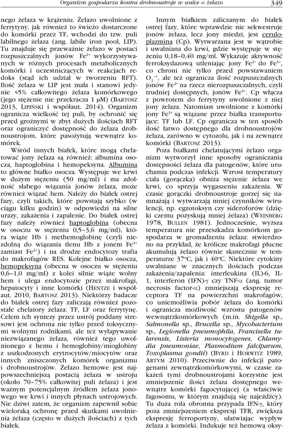Wykazuje aktywność ferroksydazową utleniając jony Fe 2+ do Fe 3+, co chroni nie tylko przed powstawaniem O 2, ale też ogranicza ilość rozpuszczalnych jonów Fe 2+ na rzecz nierozpuszczalnych, czyli