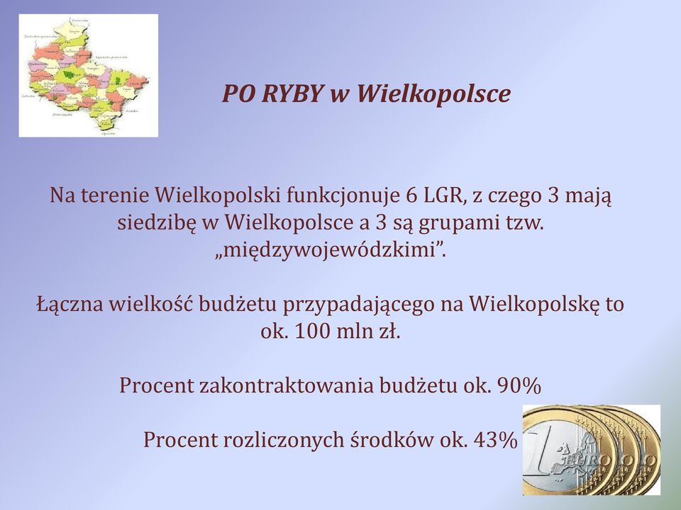 Łączna wielkość budżetu przypadającego na Wielkopolskę to ok. 100 mln zł.