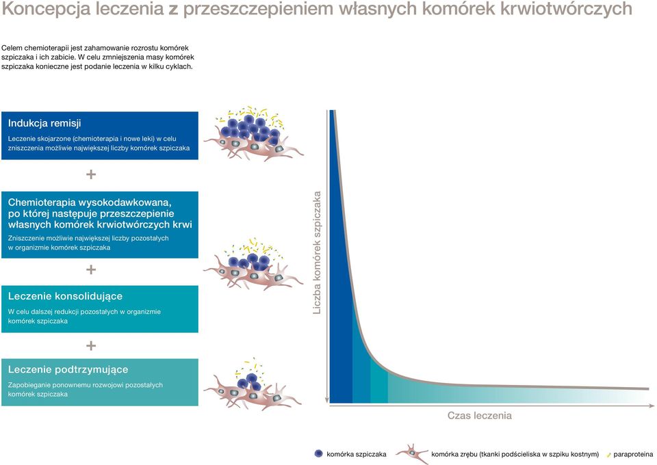 Indukcja remisji Leczenie skojarzone (chemioterapia i nowe leki) w celu zniszczenia możliwie największej liczby komórek szpiczaka + Chemioterapia wysokodawkowana, po której następuje przeszczepienie