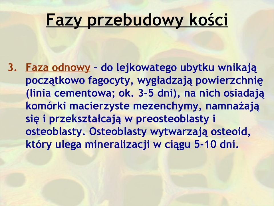 powierzchnię (linia cementowa; ok.