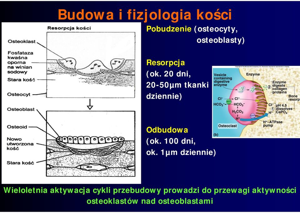 100 dni, ok.