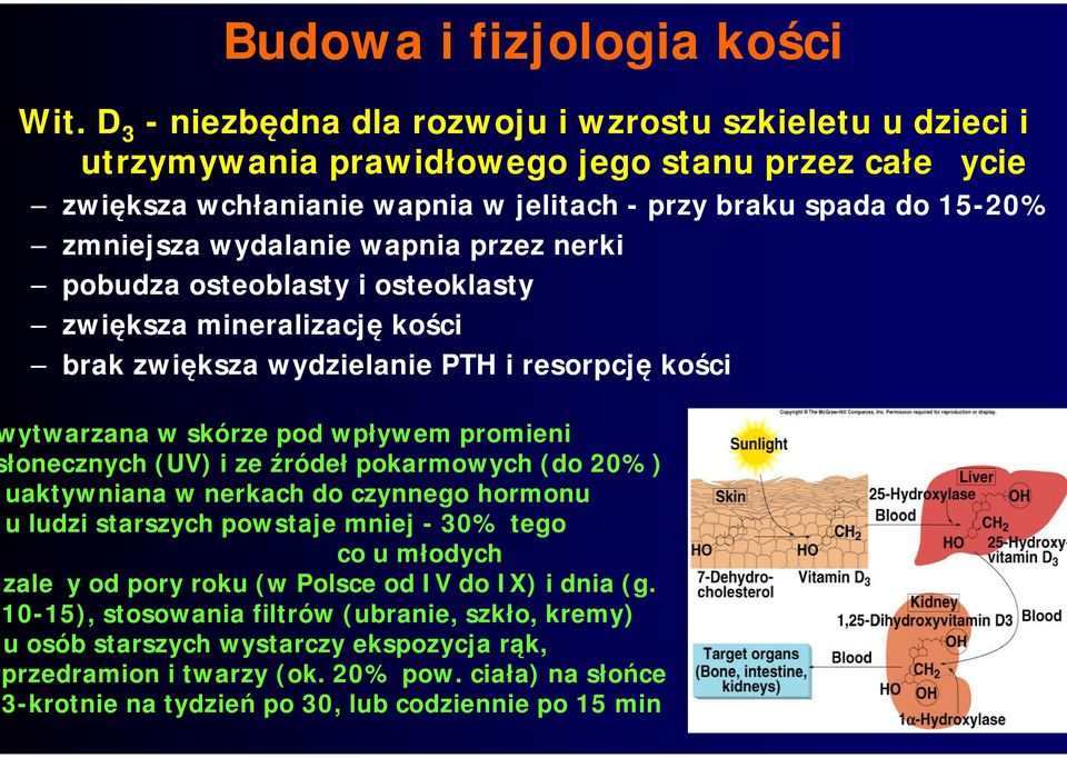 wapnia przez nerki pobudza osteoblasty i osteoklasty zwiększa mineralizację kości brak zwiększa wydzielanie PTH i resorpcję kości wytwarzana w skórze pod wpływem promieni słonecznych (UV) i ze źródeł