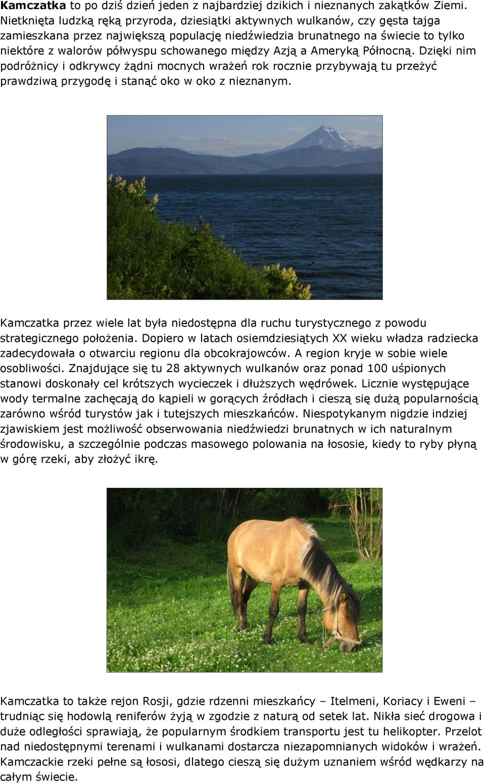 schowanego między Azją a Ameryką Północną. Dzięki nim podróżnicy i odkrywcy żądni mocnych wrażeń rok rocznie przybywają tu przeżyć prawdziwą przygodę i stanąć oko w oko z nieznanym.