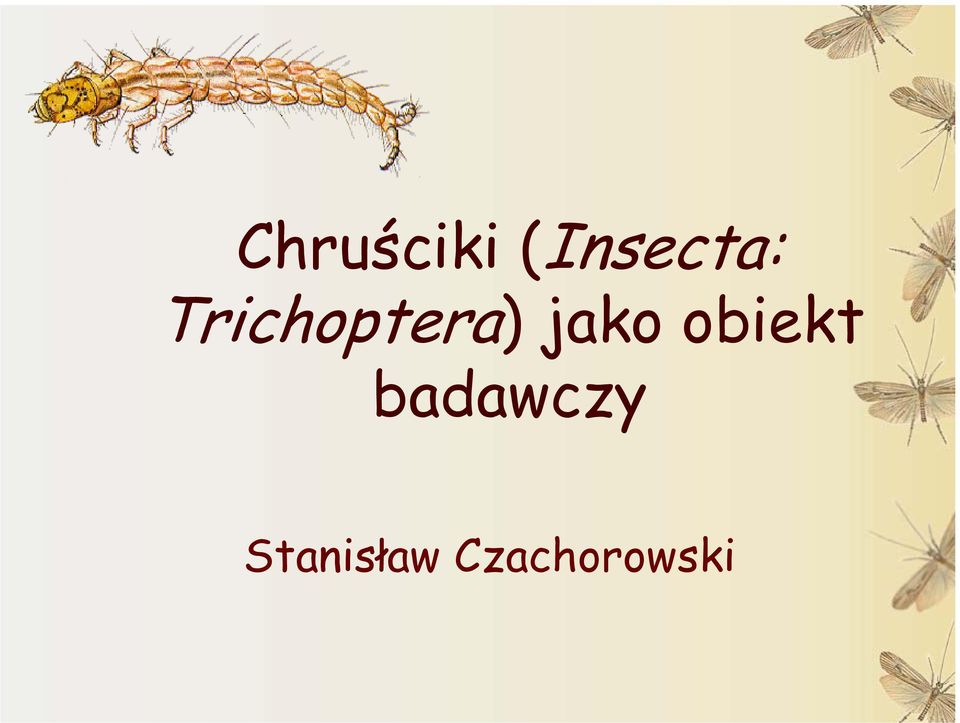 Trichoptera) jako