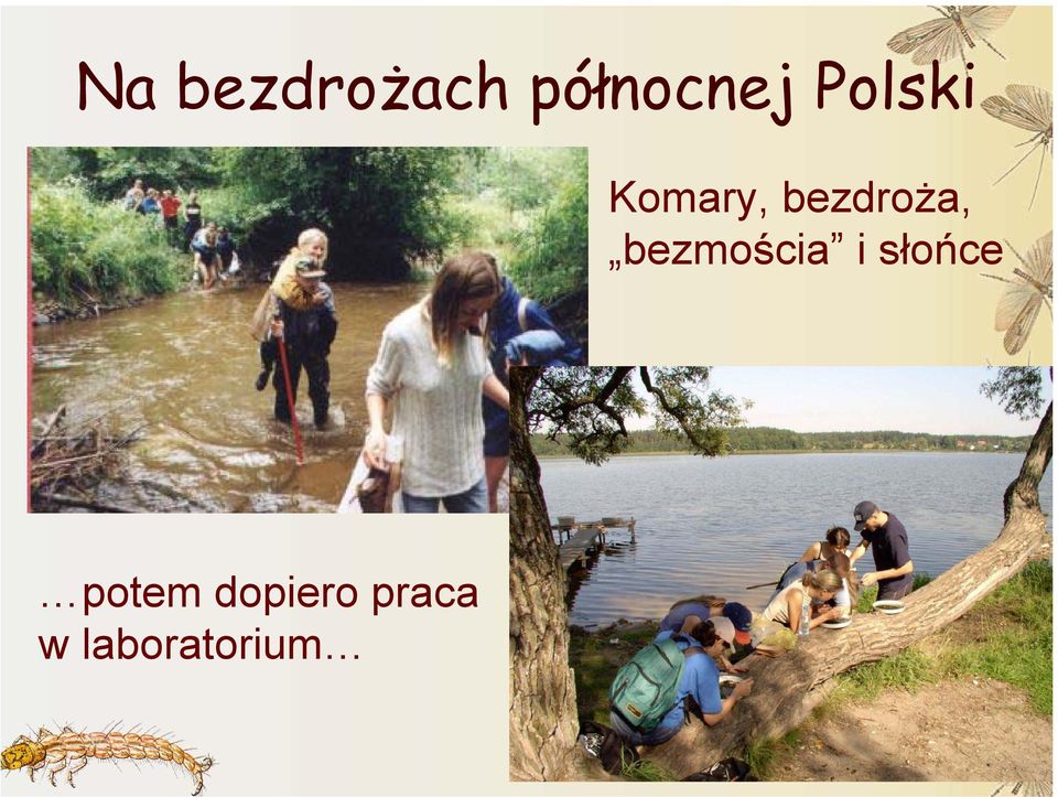 bezmościa i słońce potem