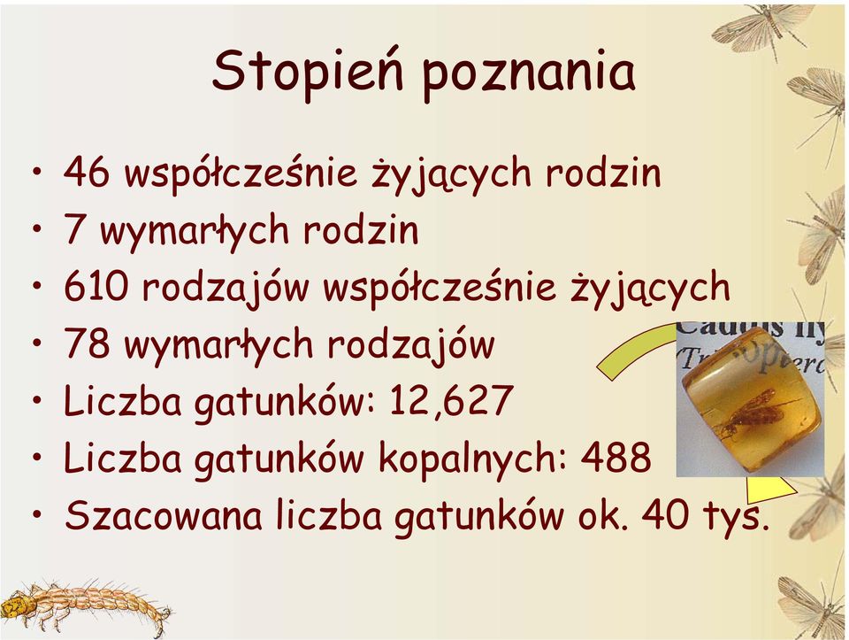 wymarłych rodzajów Liczba gatunków: 12,627 Liczba