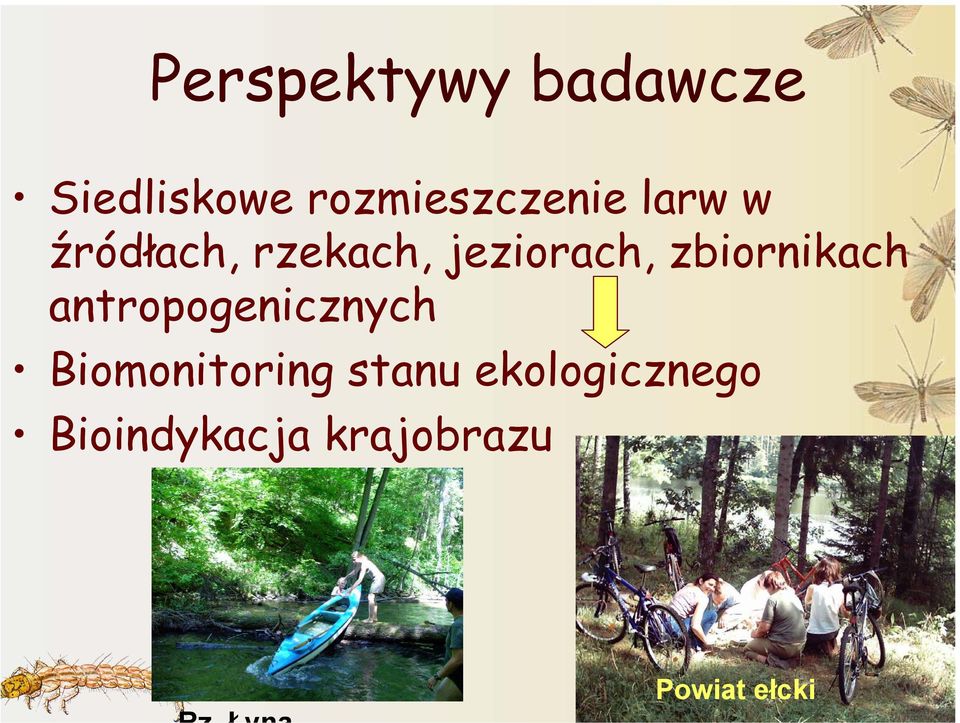 jeziorach, zbiornikach antropogenicznych