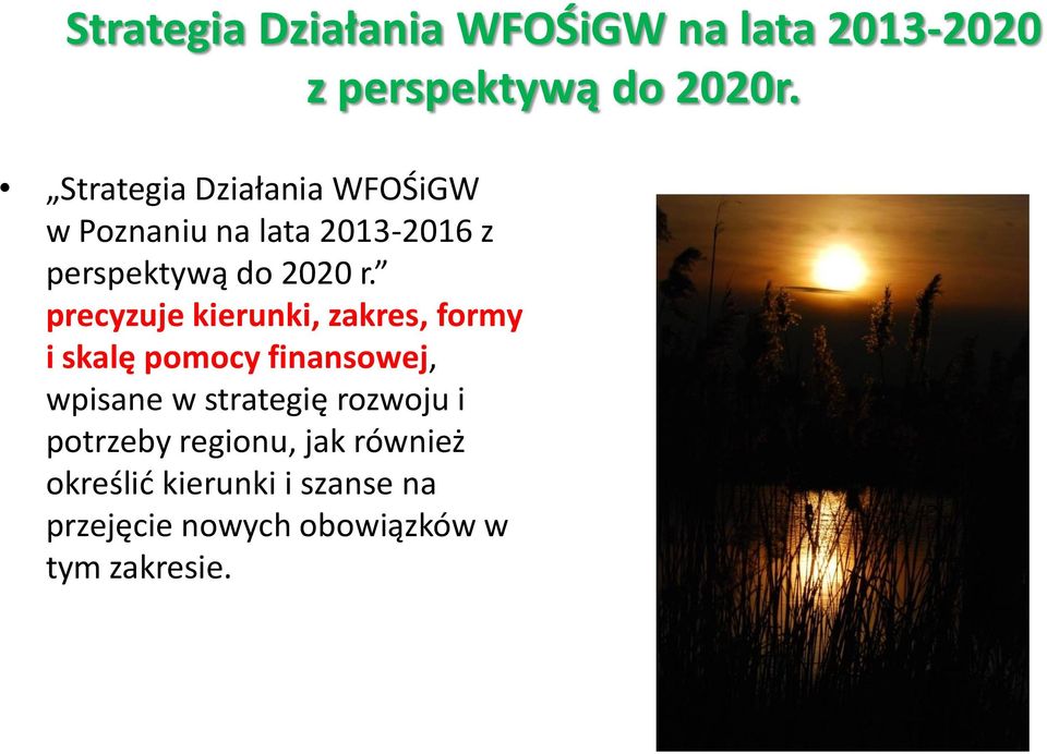 precyzuje kierunki, zakres, formy i skalę pomocy finansowej, wpisane w strategię