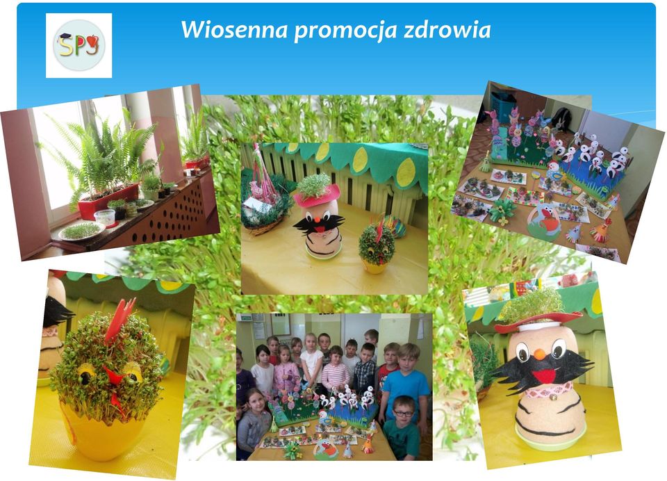 zdrowia