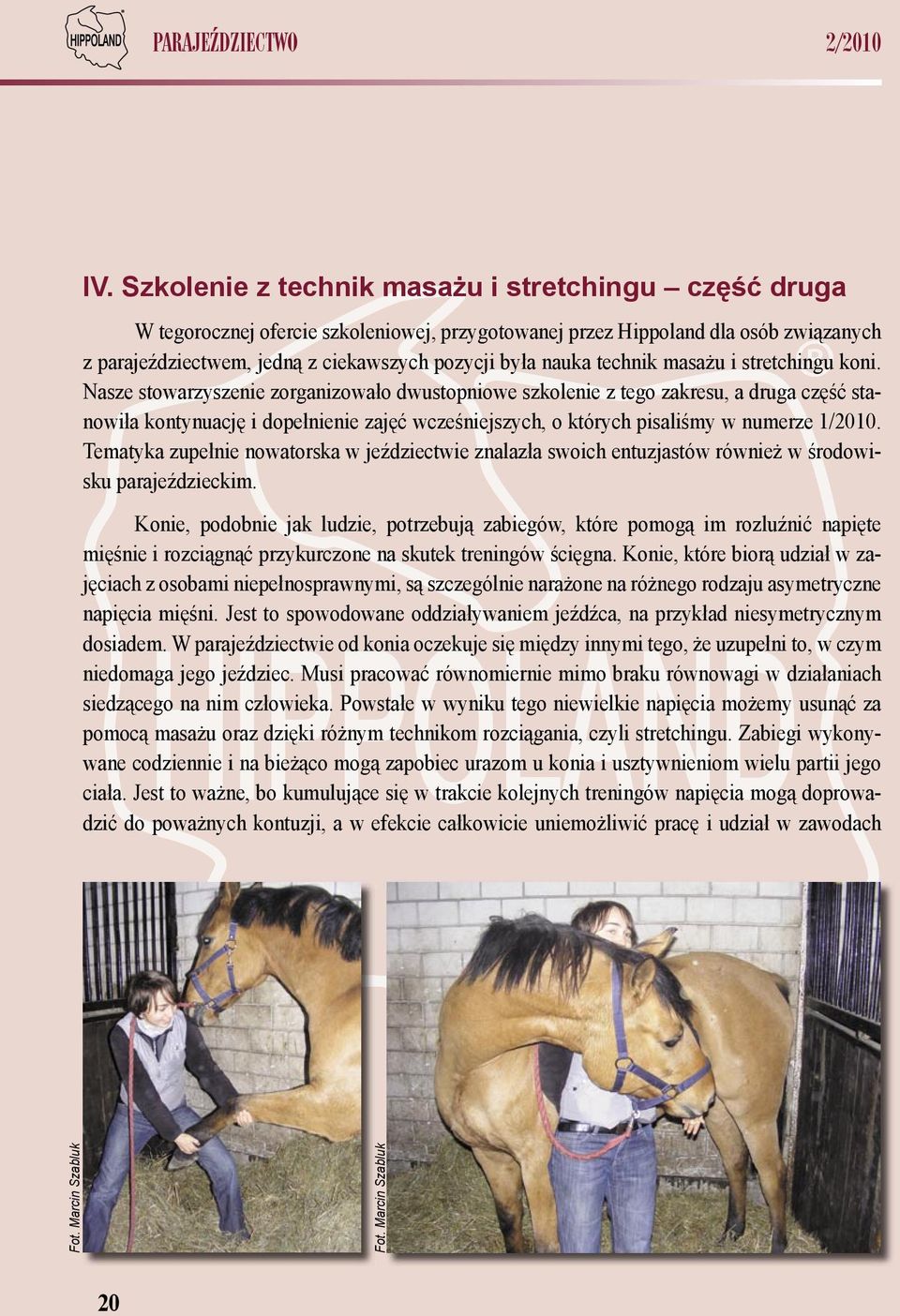 technik masażu i stretchingu koni.
