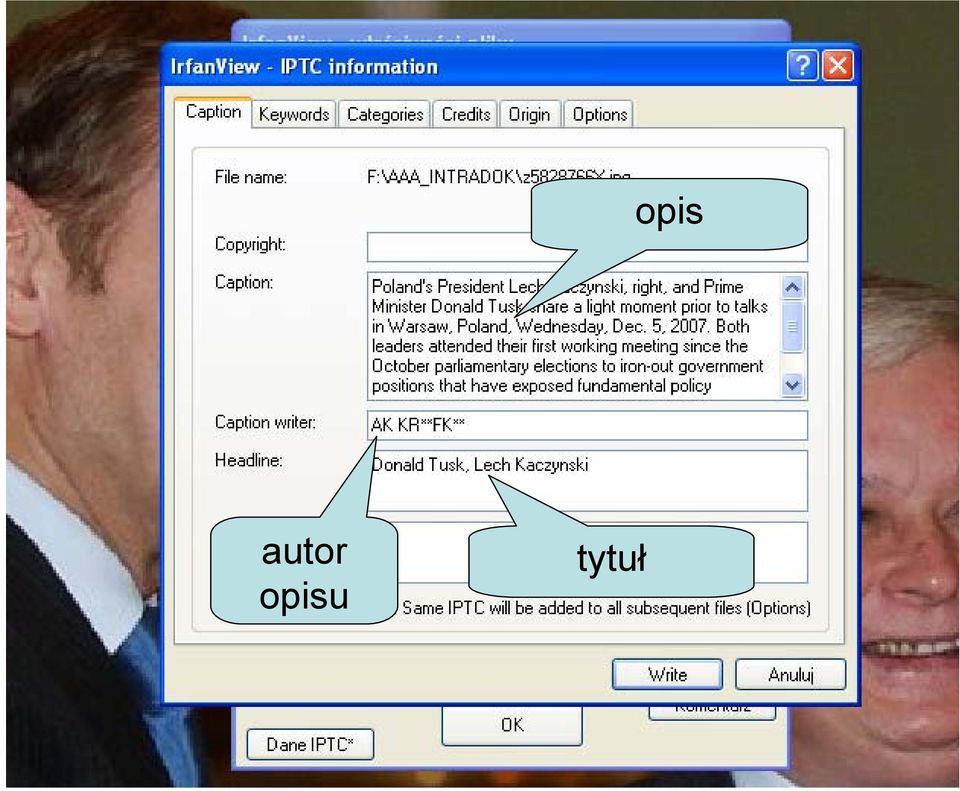 tytuł