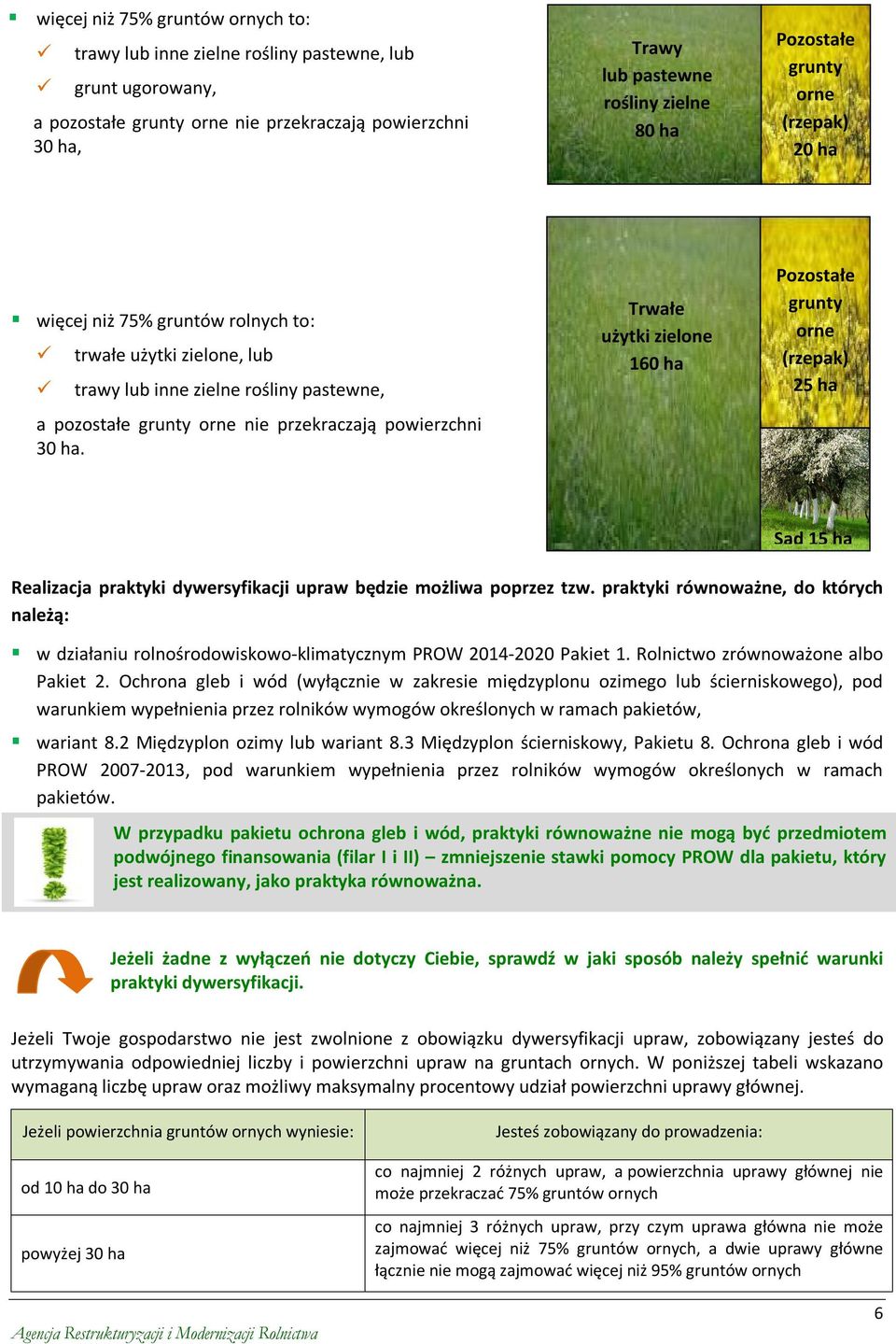 Trwałe użytki zielone 160 ha Pozostałe grunty orne (rzepak) 25 ha Sad 15 ha Realizacja praktyki dywersyfikacji upraw będzie możliwa poprzez tzw.