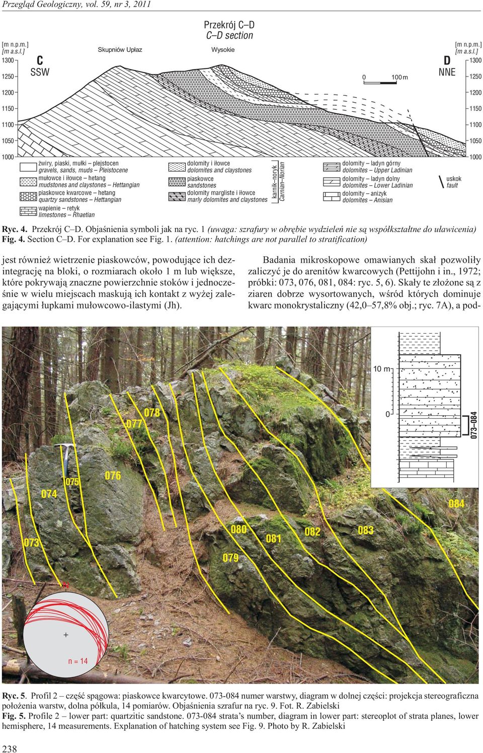 mu³owce i i³owce hetang mudstones and claystones Hettangian piaskowce kwarcowe hetang quartzy sandstones Hettangian wapienie retyk limestones Rhaetian dolomity i i³owce dolomites and claystones