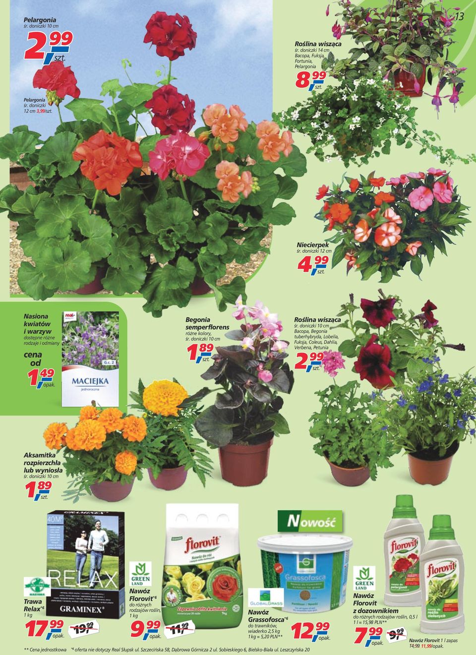 doniczki 10 cm Bacopa, Begonia tuberhybryda, Lobelia, Fuksja, Coleus, Dahlia, Verbena, Petunia 2, 99 Aksamitka rozpierzchła lub wyniosła śr.