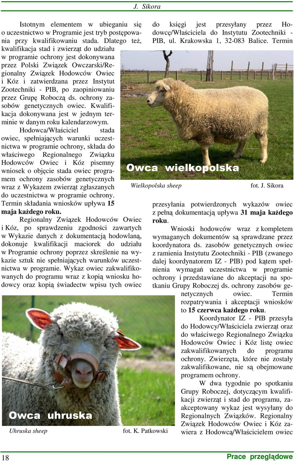Zootechniki - PIB, po zaopiniowaniu przez Grupę Roboczą ds. ochrony zasobów genetycznych owiec. Kwalifikacja dokonywana jest w jednym terminie w danym roku kalendarzowym.