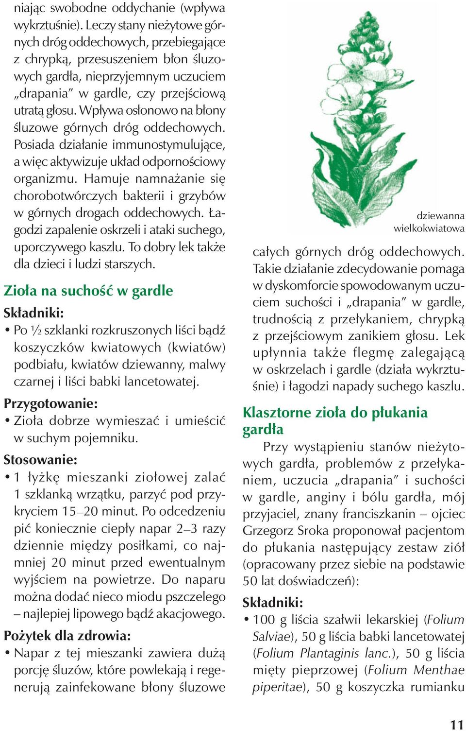 Wpływa osłonowo na błony śluzowe górnych dróg oddechowych. Posiada działanie immunostymulujące, a więc aktywizuje układ odpornościowy organizmu.