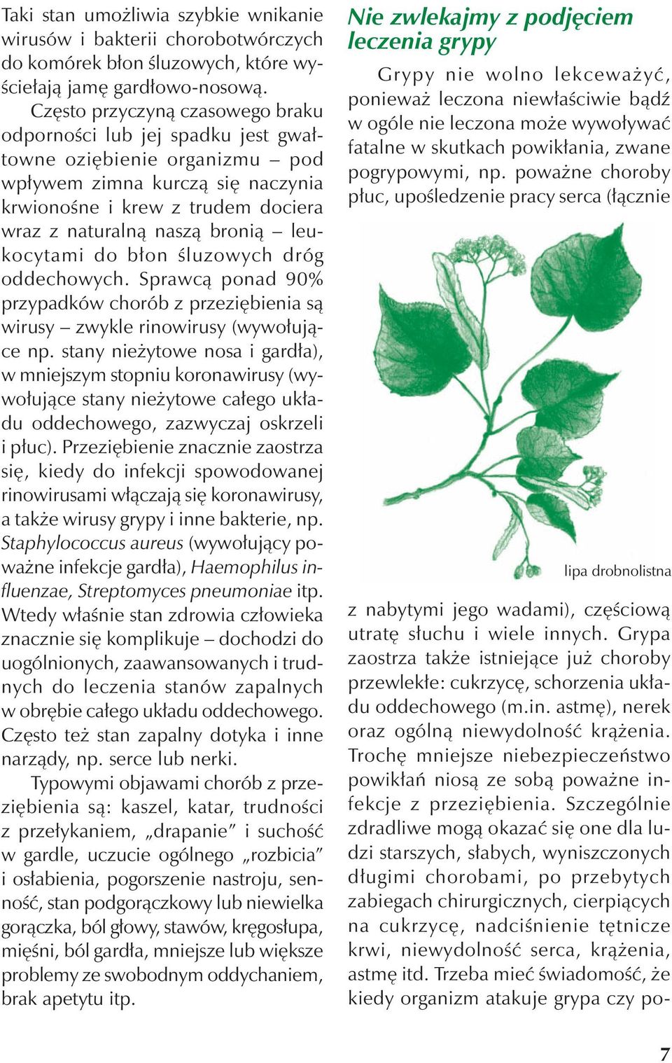 leukocytami do błon śluzowych dróg oddechowych. Sprawcą ponad 90% przypadków chorób z przeziębienia są wirusy zwykle rinowirusy (wywołujące np.
