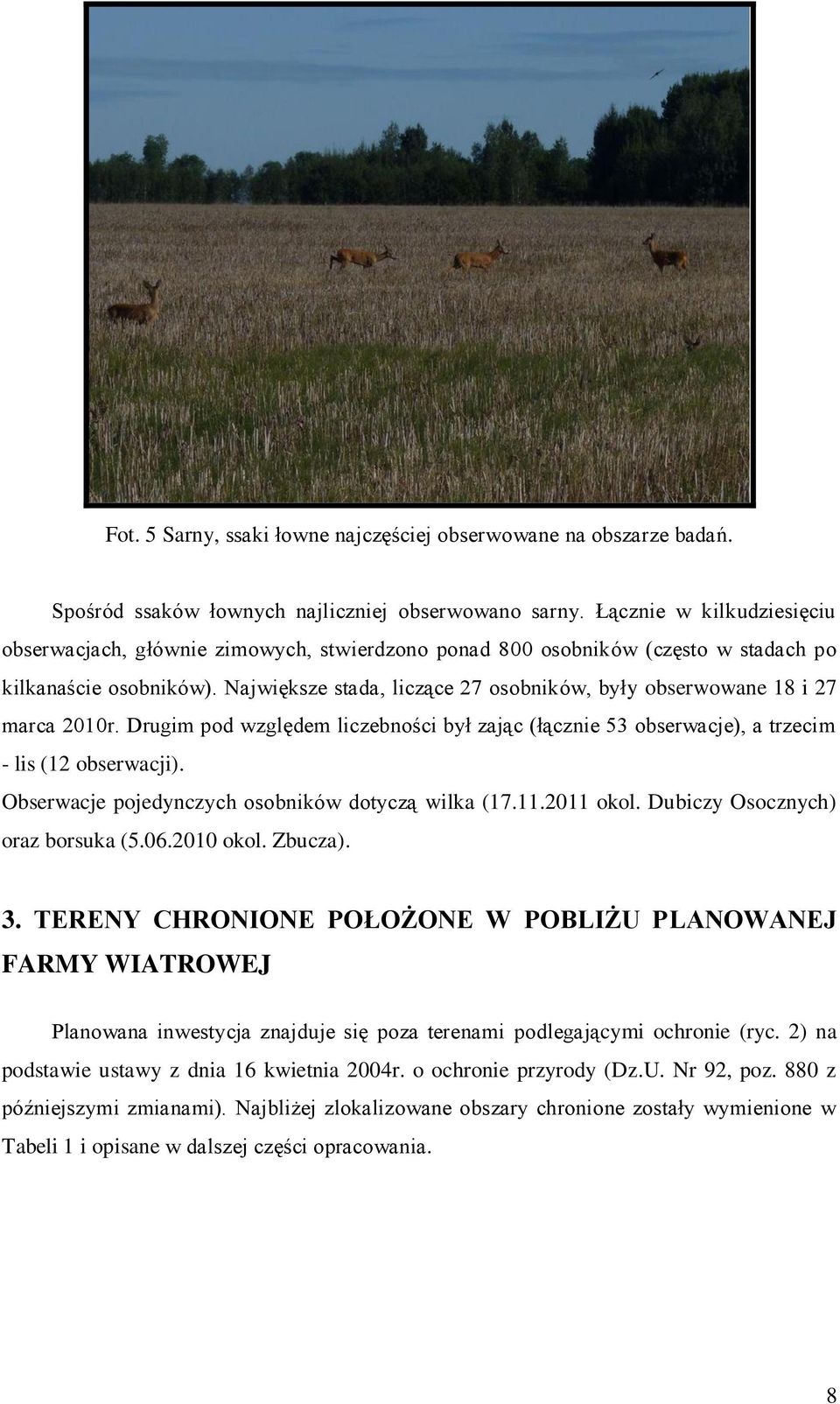 Największe stada, liczące 27 osobników, były obserwowane 18 i 27 marca 2010r. Drugim pod względem liczebności był zając (łącznie 53 obserwacje), a trzecim - lis (12 obserwacji).