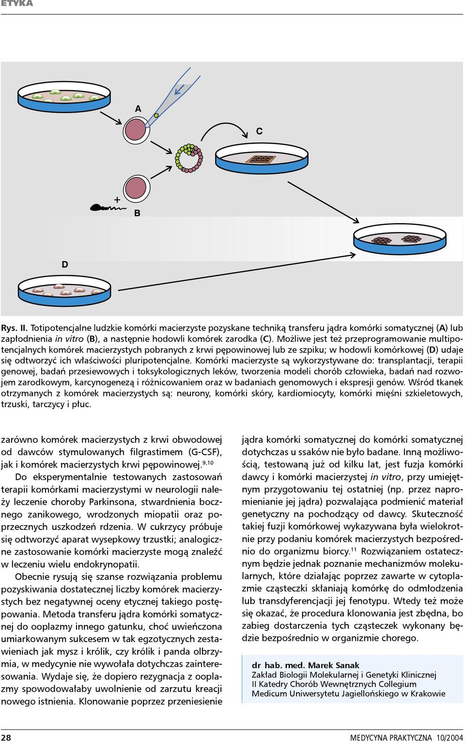 Komórki macierzyste są wykorzystywane do: transplantacji, terapii genowej, badań przesiewowych i toksykologicznych leków, tworzenia modeli chorób człowieka, badań nad rozwojem zarodkowym,