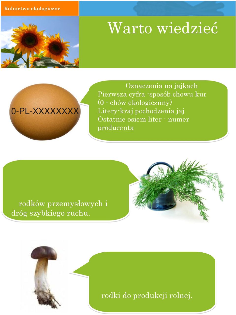 pochodzenia jaj Ostatnie osiem liter - numer producenta