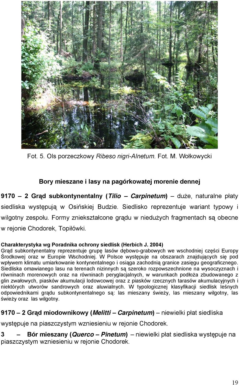 Siedlisko reprezentuje wariant typowy i wilgotny zespołu. Formy zniekształcone grądu w niedużych fragmentach są obecne w rejonie Chodorek, Topiłówki.