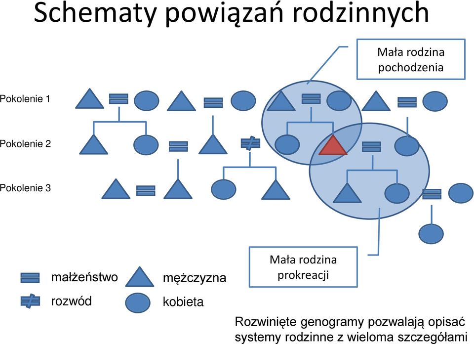 mężczyzna kobieta Mała rodzina prokreacji Rozwinięte