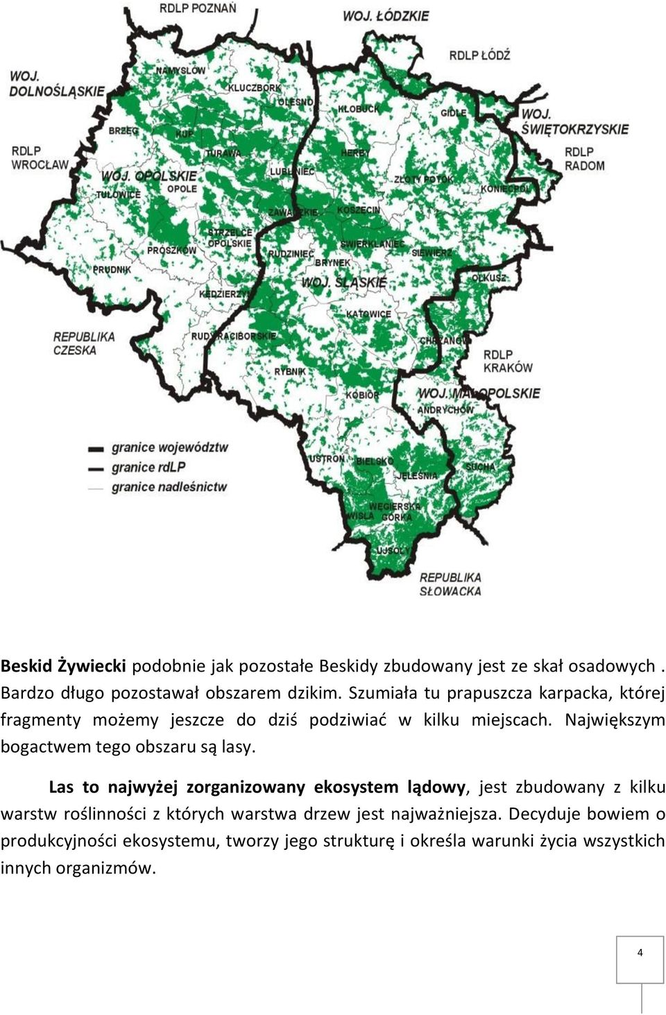 Największym bogactwem tego obszaru są lasy.