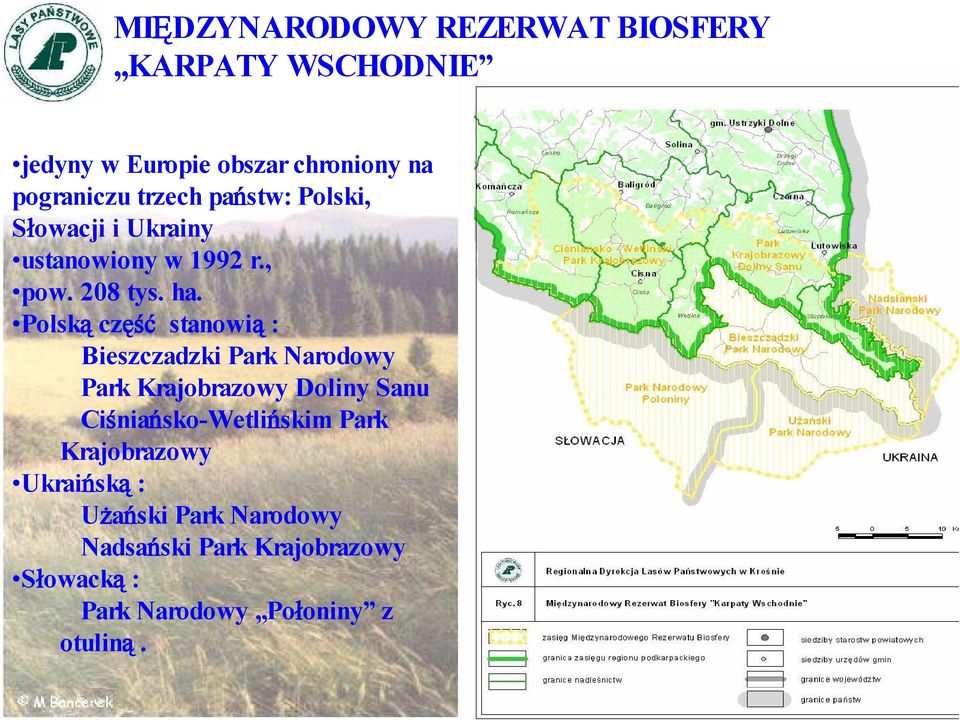 Polską część stanowią : Bieszczadzki Park Narodowy Park Krajobrazowy Doliny Sanu