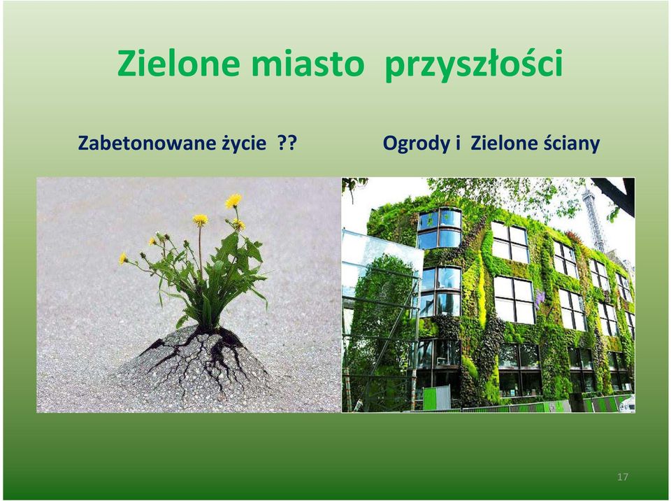 Zabetonowane życie?
