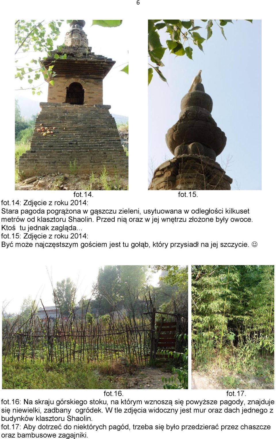 15: Zdjęcie z roku 2014: Być może najczęstszym gościem jest tu gołąb, który przysiadł na jej szczycie. fot.
