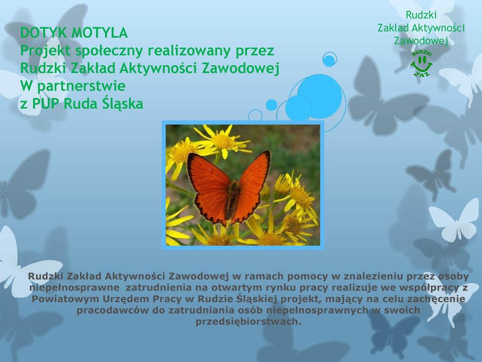 pracy realizuje we współpracy z Powiatowym Urzędem Pracy w Rudzie Śląskiej projekt,