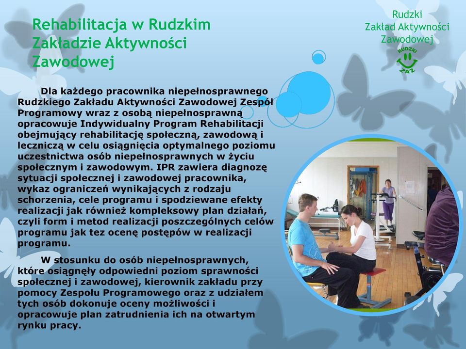 IPR zawiera diagnozę sytuacji społecznej i zawodowej pracownika, wykaz ograniczeń wynikających z rodzaju schorzenia, cele programu i spodziewane efekty realizacji jak również kompleksowy plan