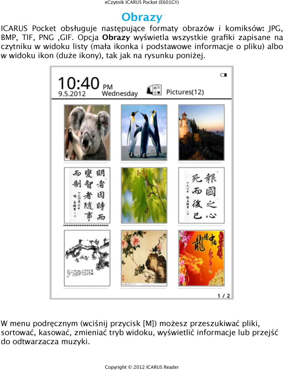 informacje o pliku) albo w widoku ikon (duże ikony), tak jak na rysunku poniżej.