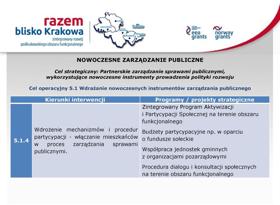 Programy / projekty strategiczne Zintegrowany Program Aktywizacji i Partycypacji Społecznej na terenie obszaru funkcjonalnego Budżety partycypacyjne np.