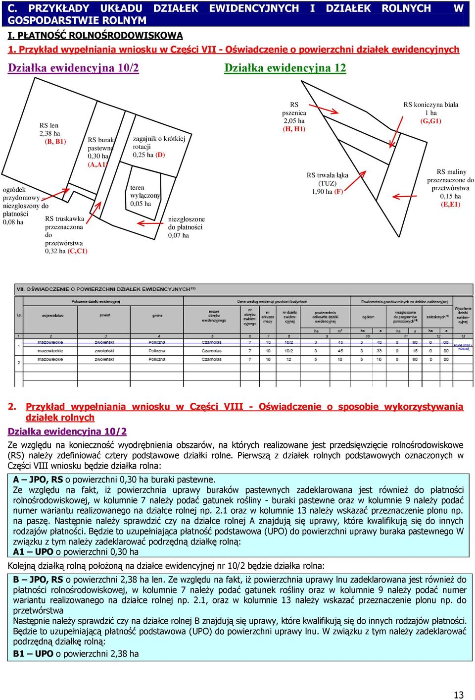 len 2,38 ha (B, B1) RS truskawka przeznaczona do przetwórstwa 0,32 ha (C,C1) RS buraki pastewne 0,30 ha (A,A1) zagajnik o krótkiej rotacji 0,25 ha (D) teren wyłączony 0,05 ha niezgłoszone do