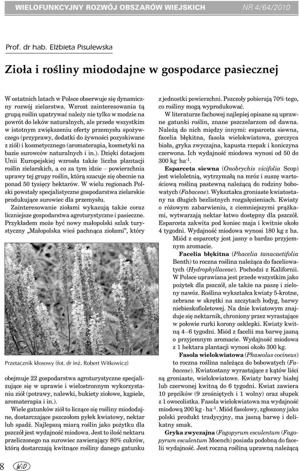 Wzrost zainteresowania tą grupą roślin upatrywać należy nie tylko w modzie na powrót do leków naturalnych, ale przede wszystkim w istotnym zwiększeniu oferty przemysłu spożywczego (przyprawy, dodatki