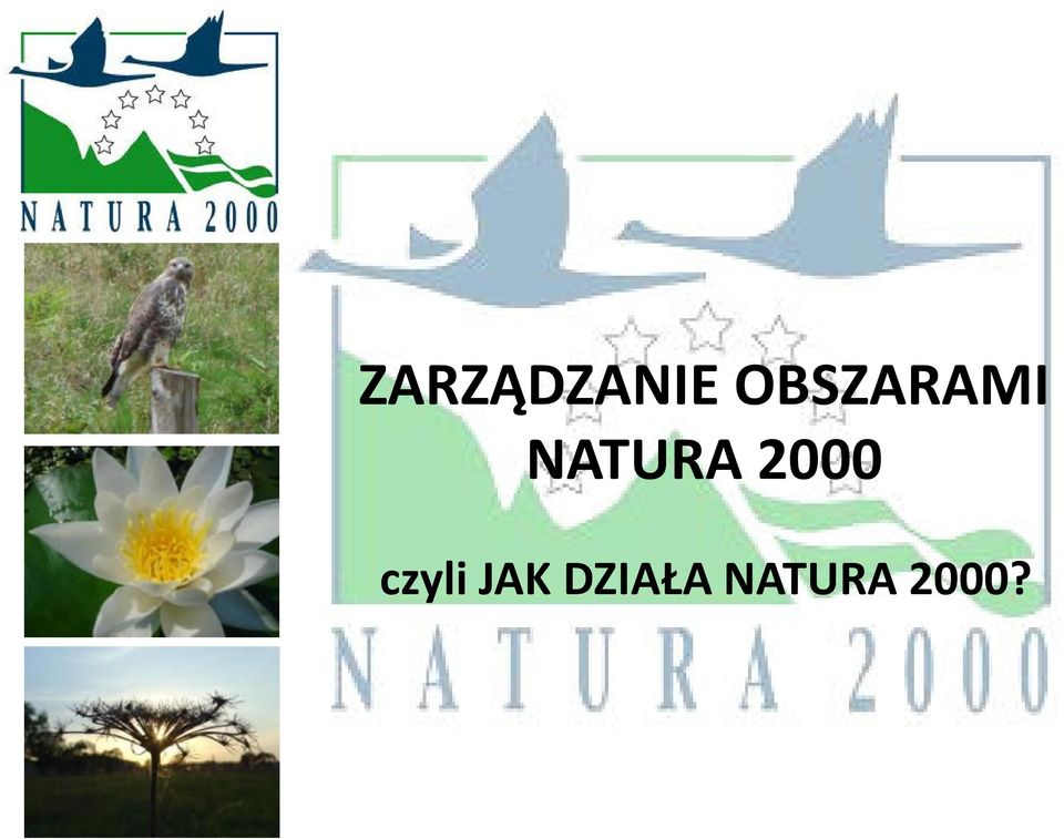 NATURA 2000