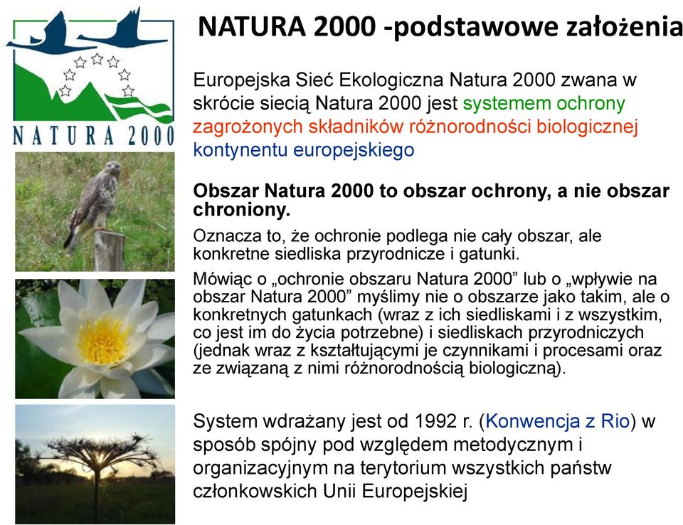 Mówiąc o ochronie obszaru Natura 2000 lub o wpływie na obszar Natura 2000 myślimy nie o obszarze jako takim, ale o konkretnych gatunkach (wraz z ich siedliskami i z wszystkim, co jest im do Ŝycia