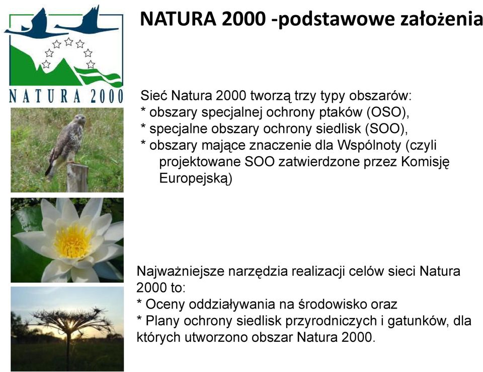 zatwierdzone przez Komisję Europejską) NajwaŜniejsze narzędzia realizacji celów sieci Natura 2000 to: * Oceny