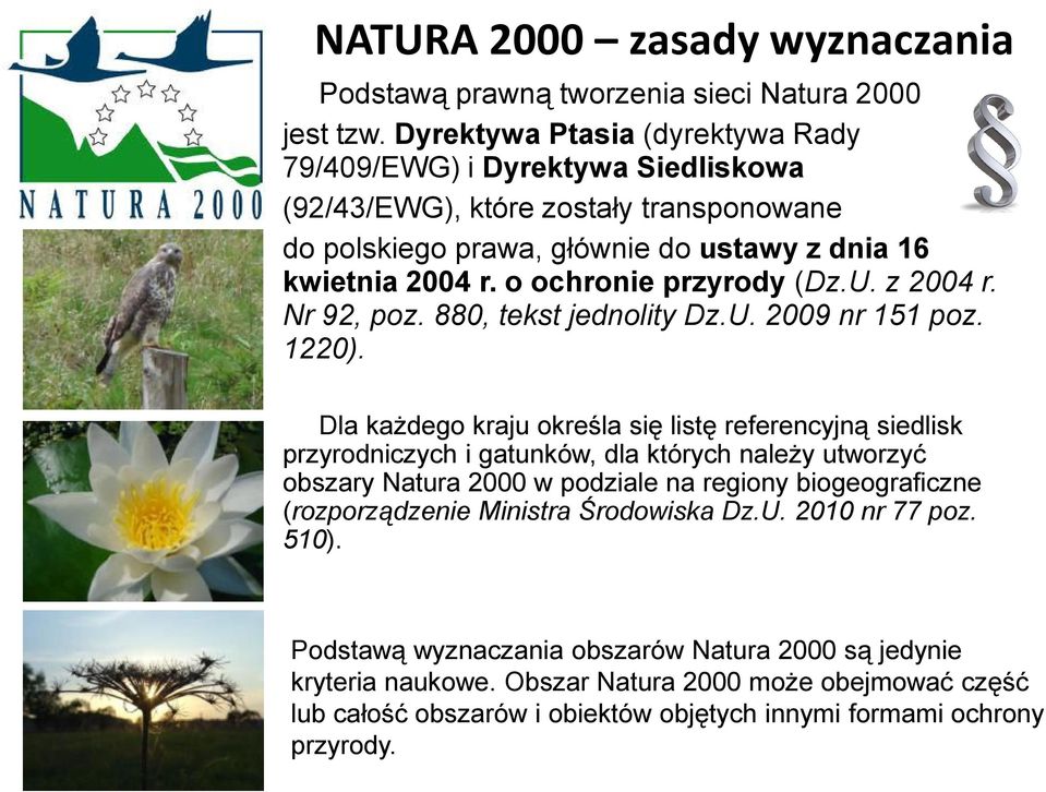 o ochronie przyrody (Dz.U. z 2004 r. Nr 92, poz. 880, tekst jednolity Dz.U. 2009 nr 151 poz. 1220).