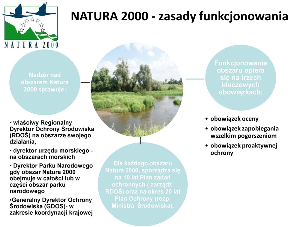 w części obszar parku narodowego Generalny Dyrektor Ochrony Środowiska (GDOS)- w zakresie koordynacji krajowej Dla kaŝdego obszaru Natura 2000, sporządza się na 10 lat Plan zadań