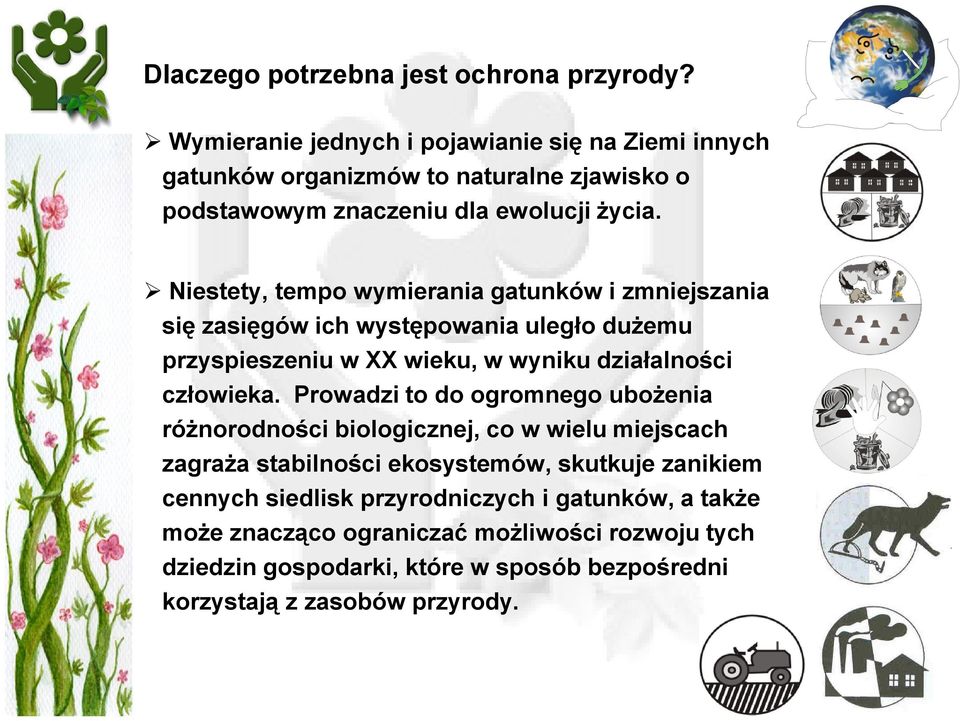 Niestety, tempo wymierania gatunków i zmniejszania się zasięgów ich występowania uległo duŝemu przyspieszeniu w XX wieku, w wyniku działalności człowieka.