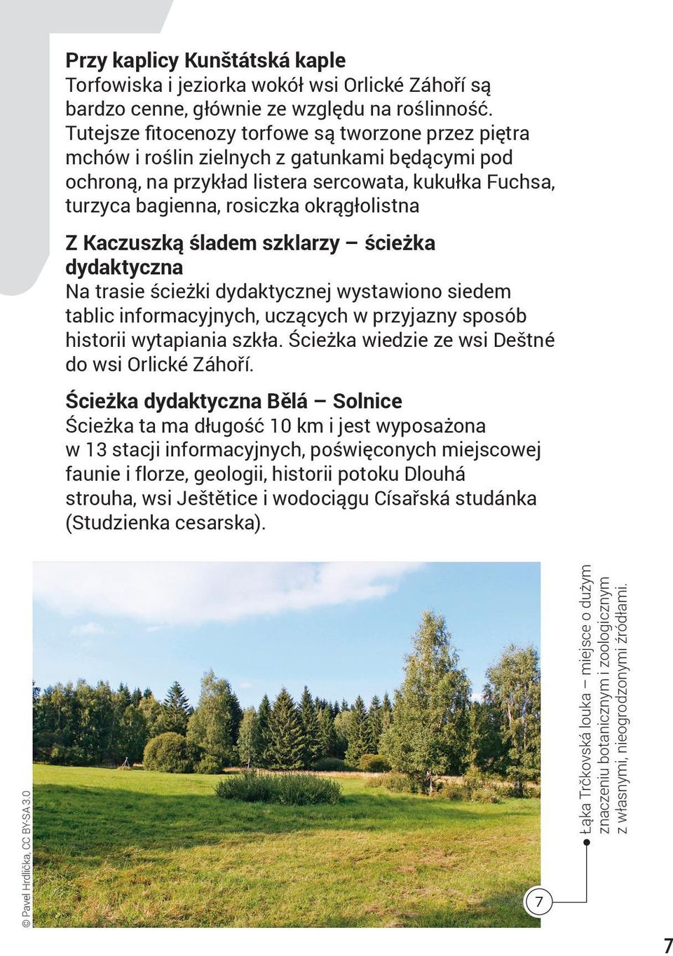 Z Kaczuszką śladem szklarzy ścieżka dydaktyczna Na trasie ścieżki dydaktycznej wystawiono siedem tablic informacyjnych, uczących w przyjazny sposób historii wytapiania szkła.