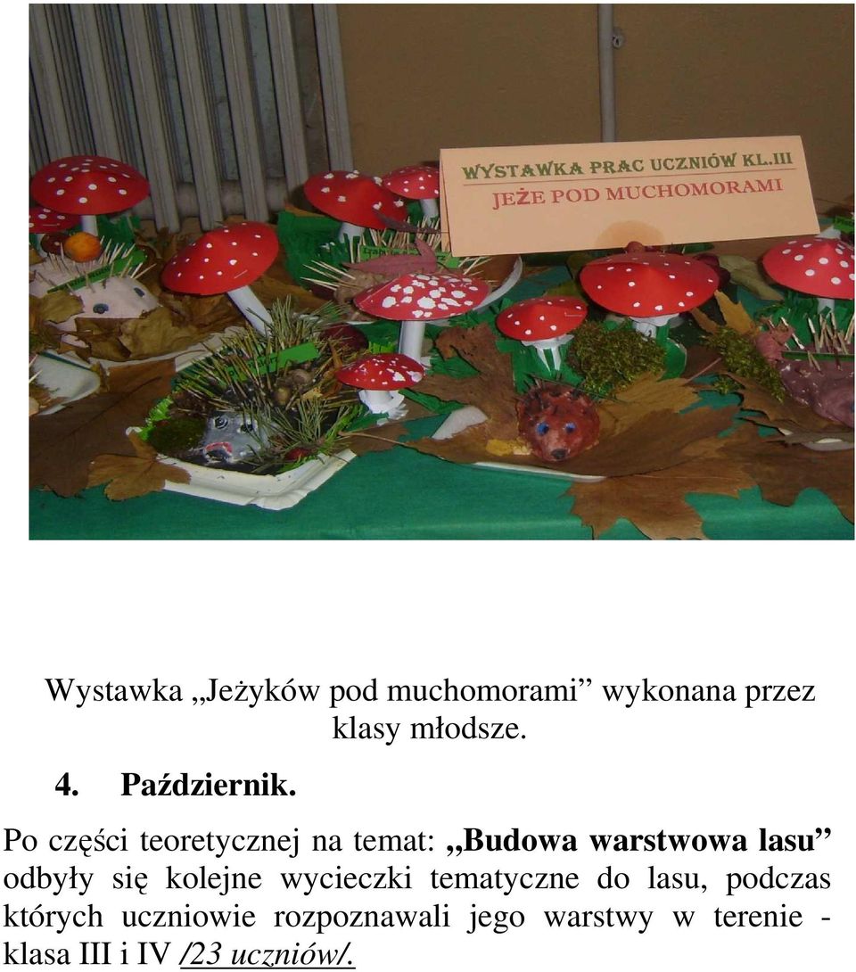 Po części teoretycznej na temat: Budowa warstwowa lasu odbyły się