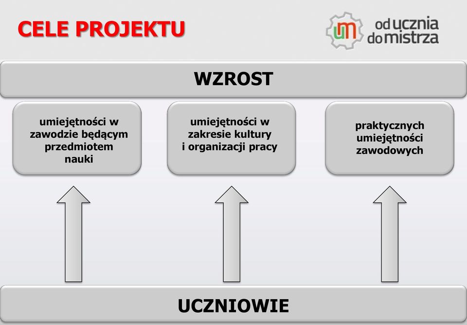 umiejętności w zakresie kultury i