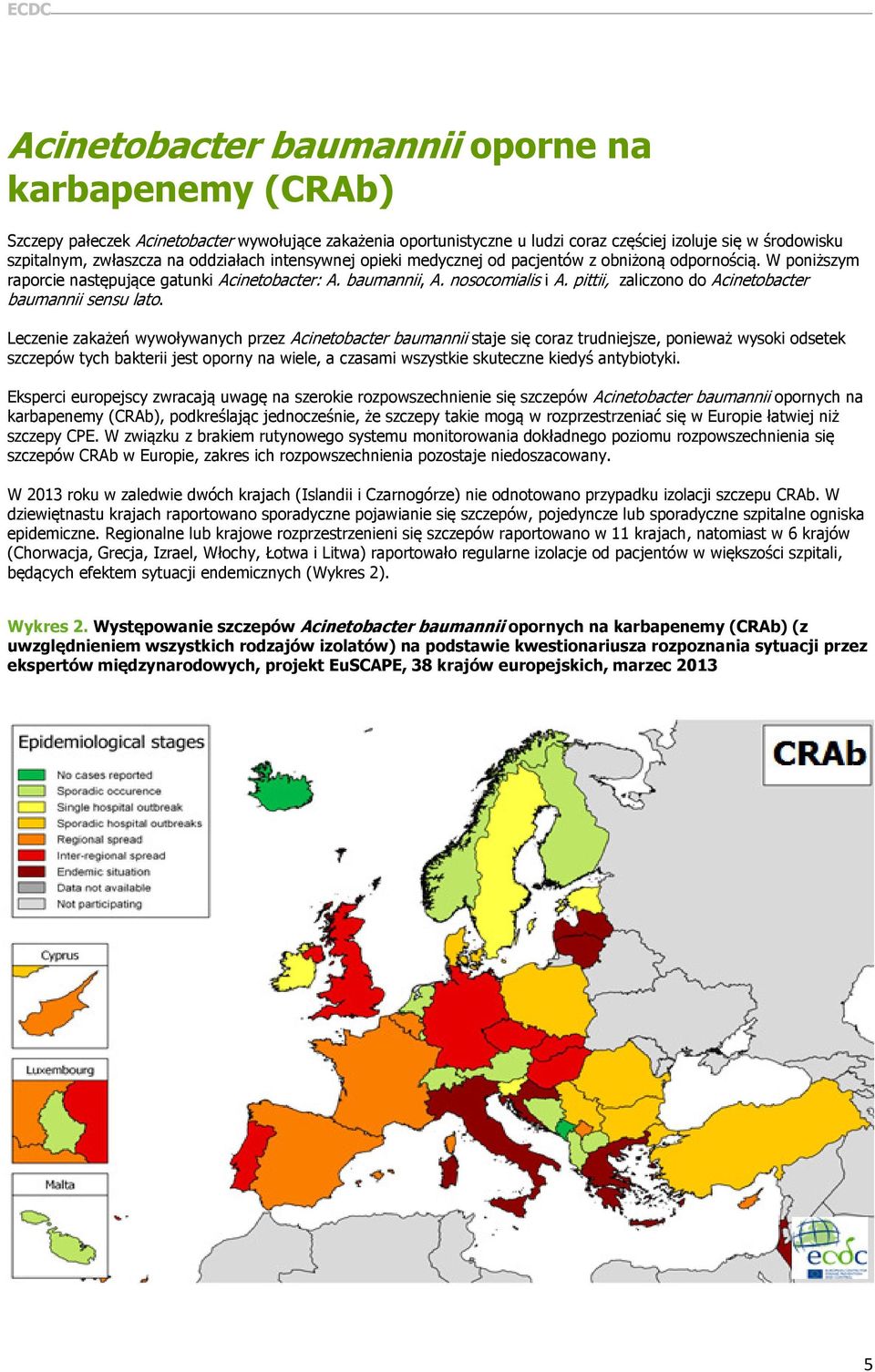 pittii, zaliczono do Acinetobacter baumannii sensu lato.