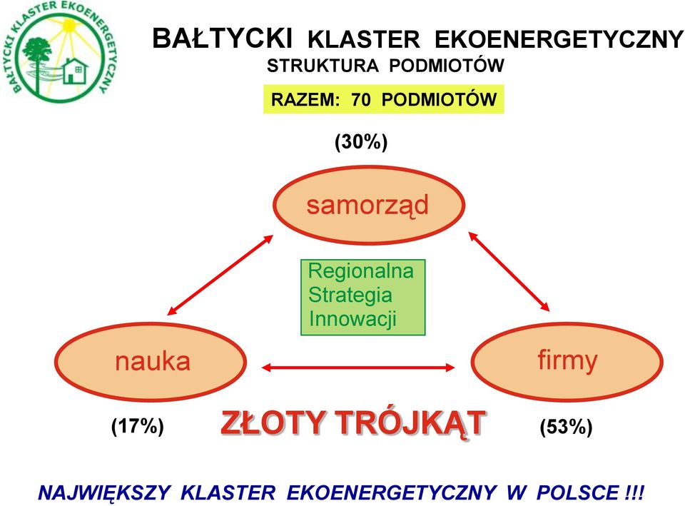 (17%) Regionalna Strategia Innowacji ZŁOTY TRÓJKĄT