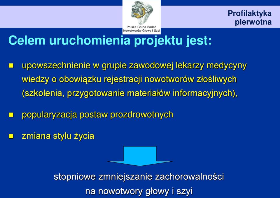 przygotowanie materiałów informacyjnych), popularyzacja postaw prozdrowotnych
